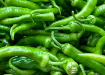 Orta Doğu’daki Savaş Sebze Fiyatlarını Uçurdu: Biber 550 TL!