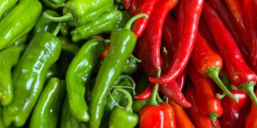 Bibere Rekor Zam: Ticaret Bakanlığı İnceleme Başlattı!