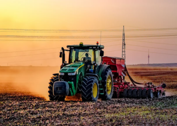 Tarım Bakanlığı’ndan Çiftçiye Devlet Desteği!
