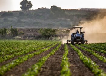 Çiftçiye Ücretsiz Tohum Müjdesi: Binlerce Kilo Dağıtılıyor!