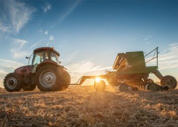 Çiftçiye Ücretsiz Atalık Tohum Desteği!