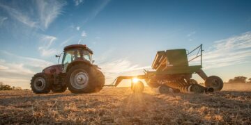 Çiftçiye Ücretsiz Atalık Tohum Desteği!