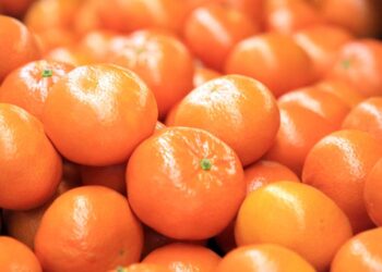 Portakal ve Mandalinaya 10 TL İndirim Geldi!