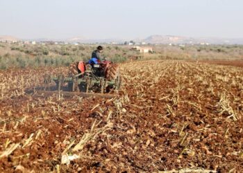 Tarım Bakanlığı Duyurdu: 35 Milyon Euro Tarımsal Destek!