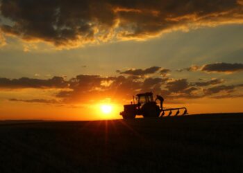 Tarım Bakanlığı Müjdeyi Verdi: 5 Milyon 616 Bin TL Tarımsal Destek!