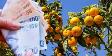 Portakal, Limon, Maydanoz, Pırasa, Karnabahar… Hepsi Zamlandı!