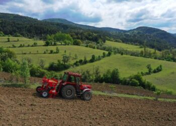 Küresel Gıda Riski Büyüyor: Gübre Fiyatları Yüzde 50 Arttı!