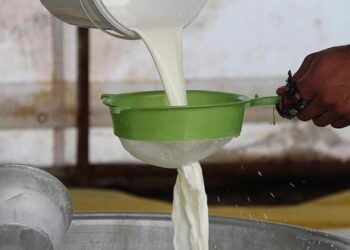 Mazot ve Yeme Zam Gelince Çiğ Süt Fiyatları Fırladı!