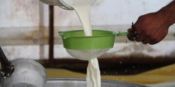 Mazot ve Yeme Zam Gelince Çiğ Süt Fiyatları Fırladı!