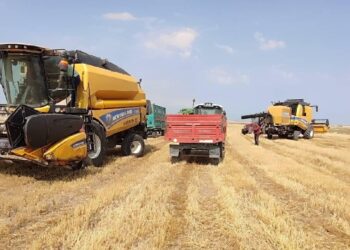 Buğday, Mısır, Pirinç, Şeker, Pamuk, Kahve ve Kakaoya Savaş Zammı!